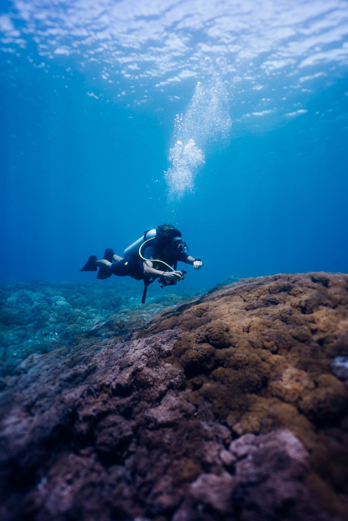 Ped Deep Roots Dive & Yoga Resort מראה חיצוני תמונה